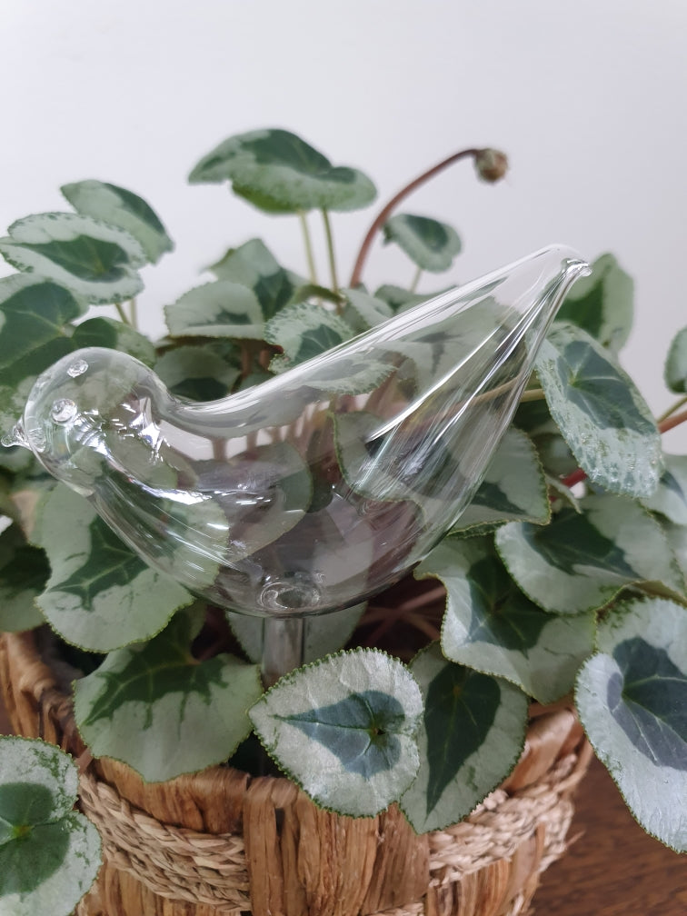 Glass Bird Water Seeper