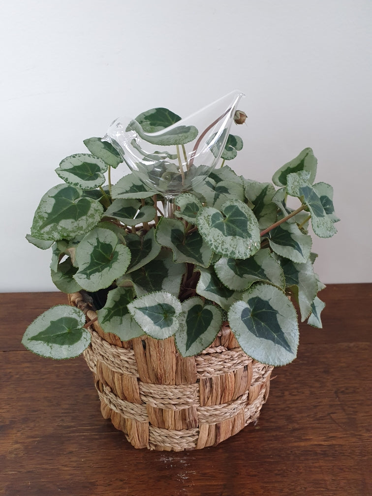 Glass Bird Water Seeper