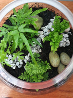 Fishbowl Terrariums
