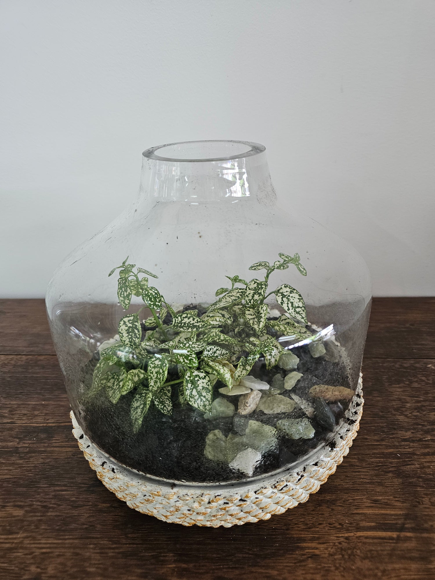 Terrariums