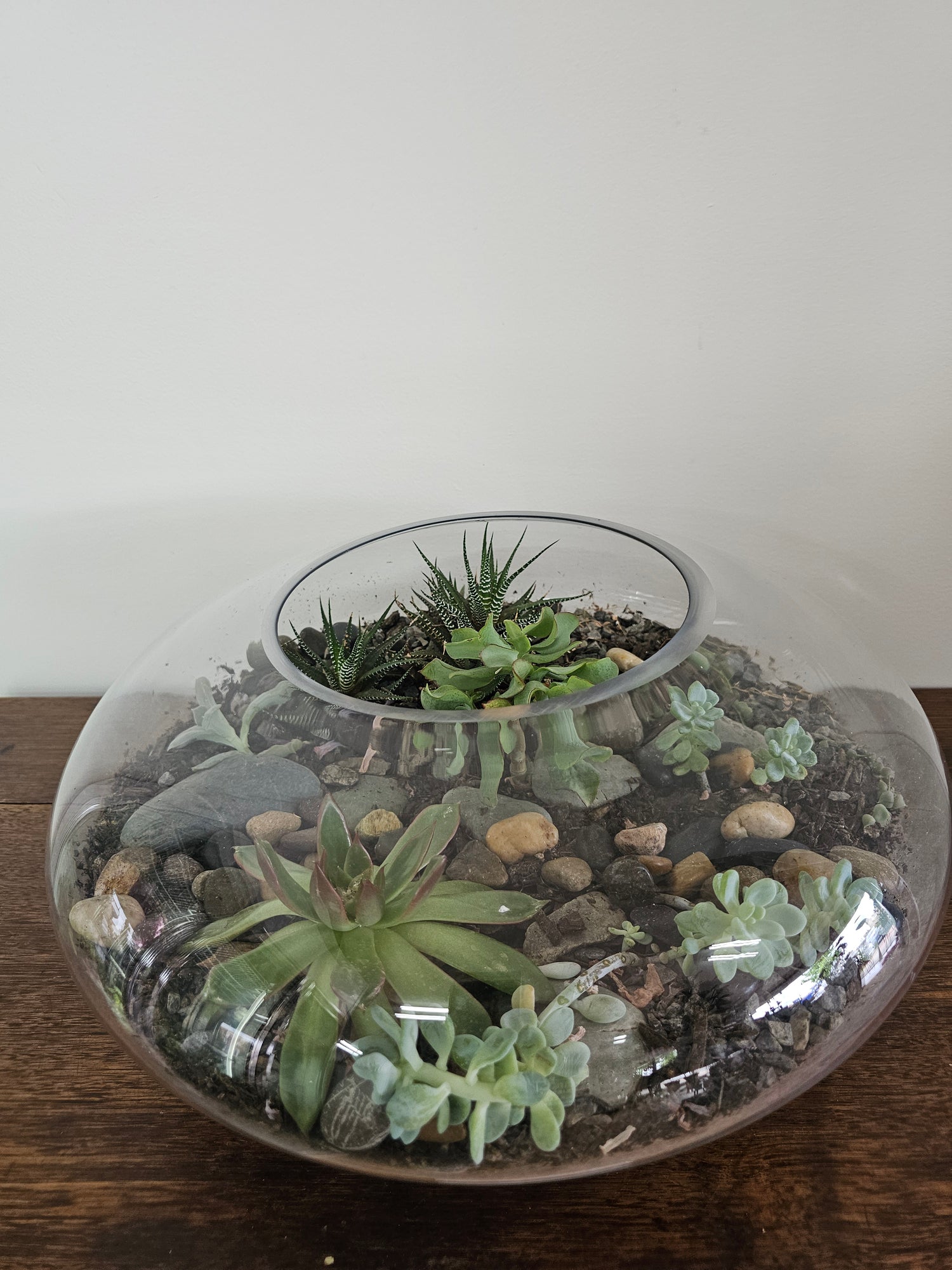 squat terrariums