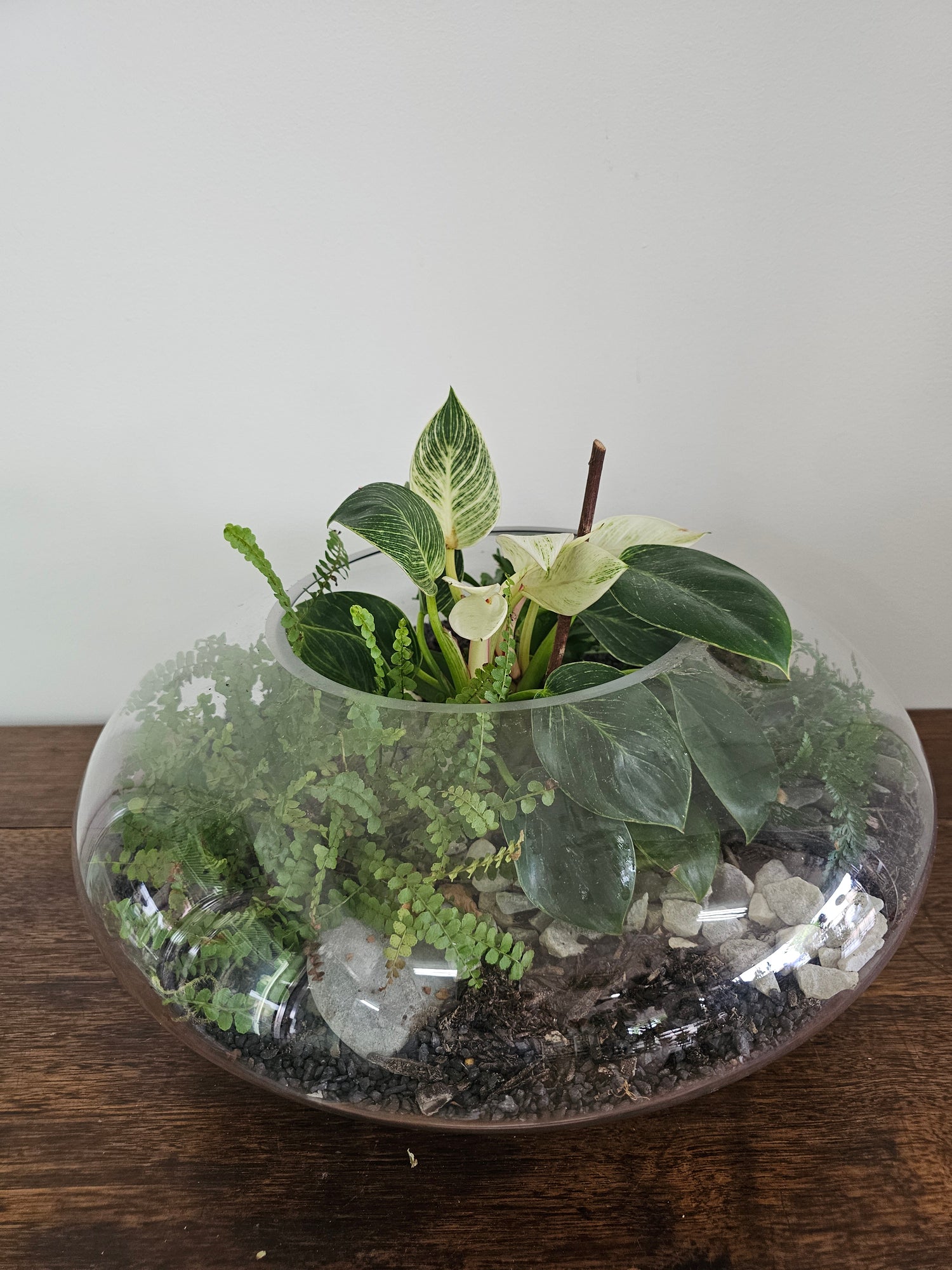 squat terrariums