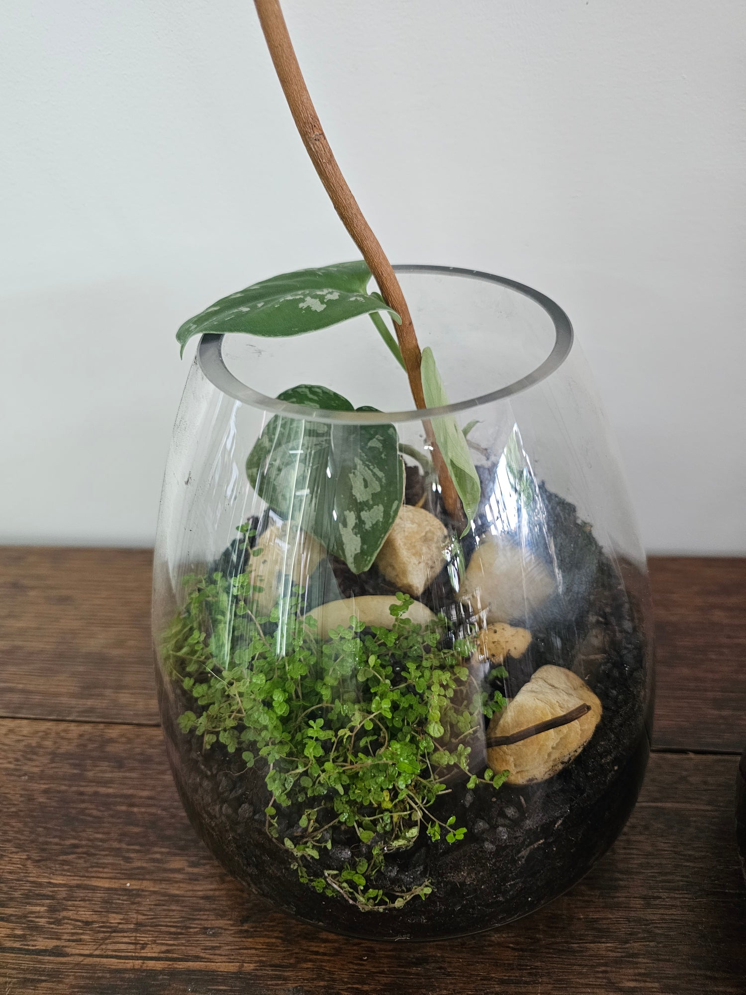 mushroom vase terrarium