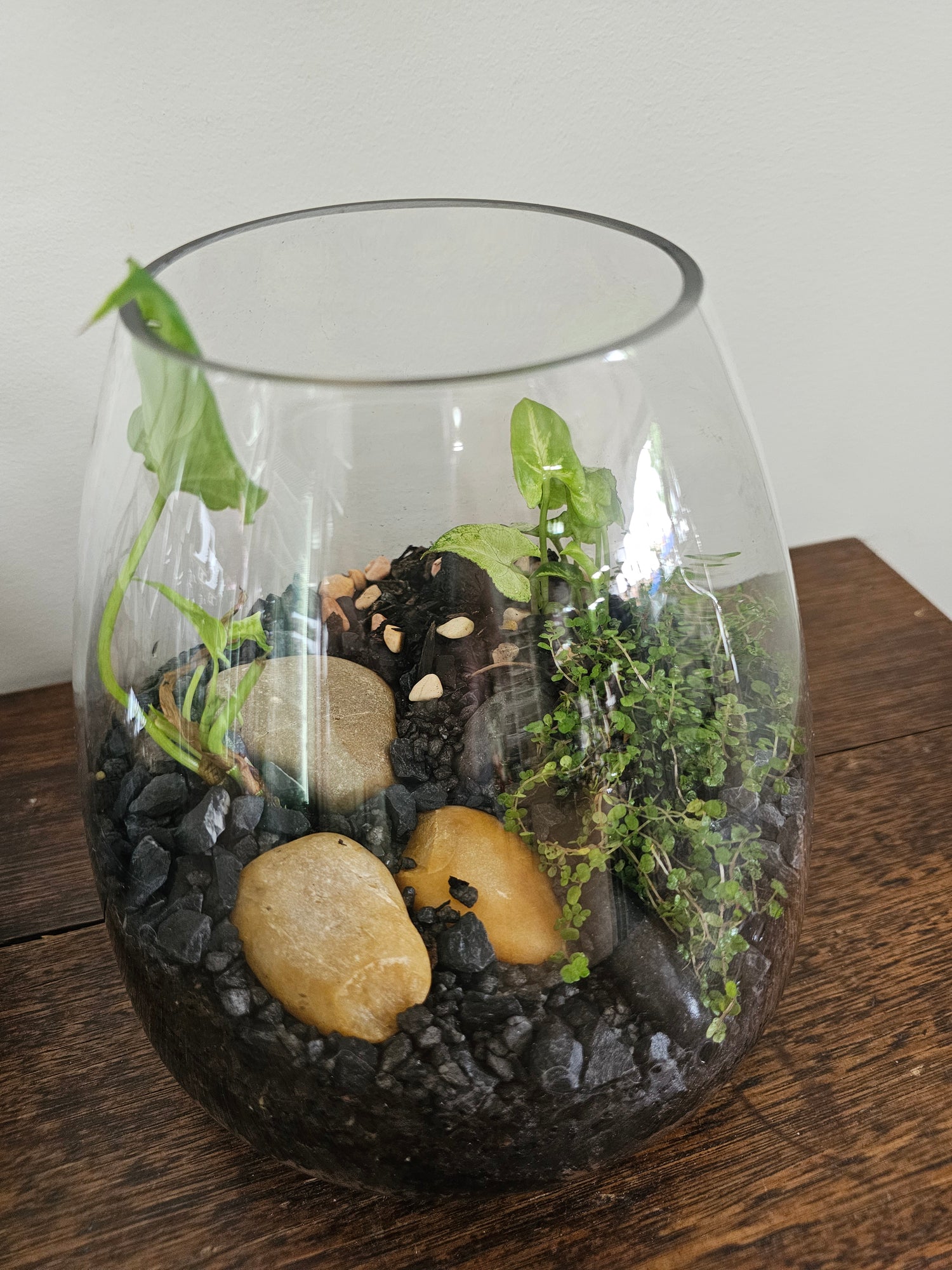 mushroom vase terrarium