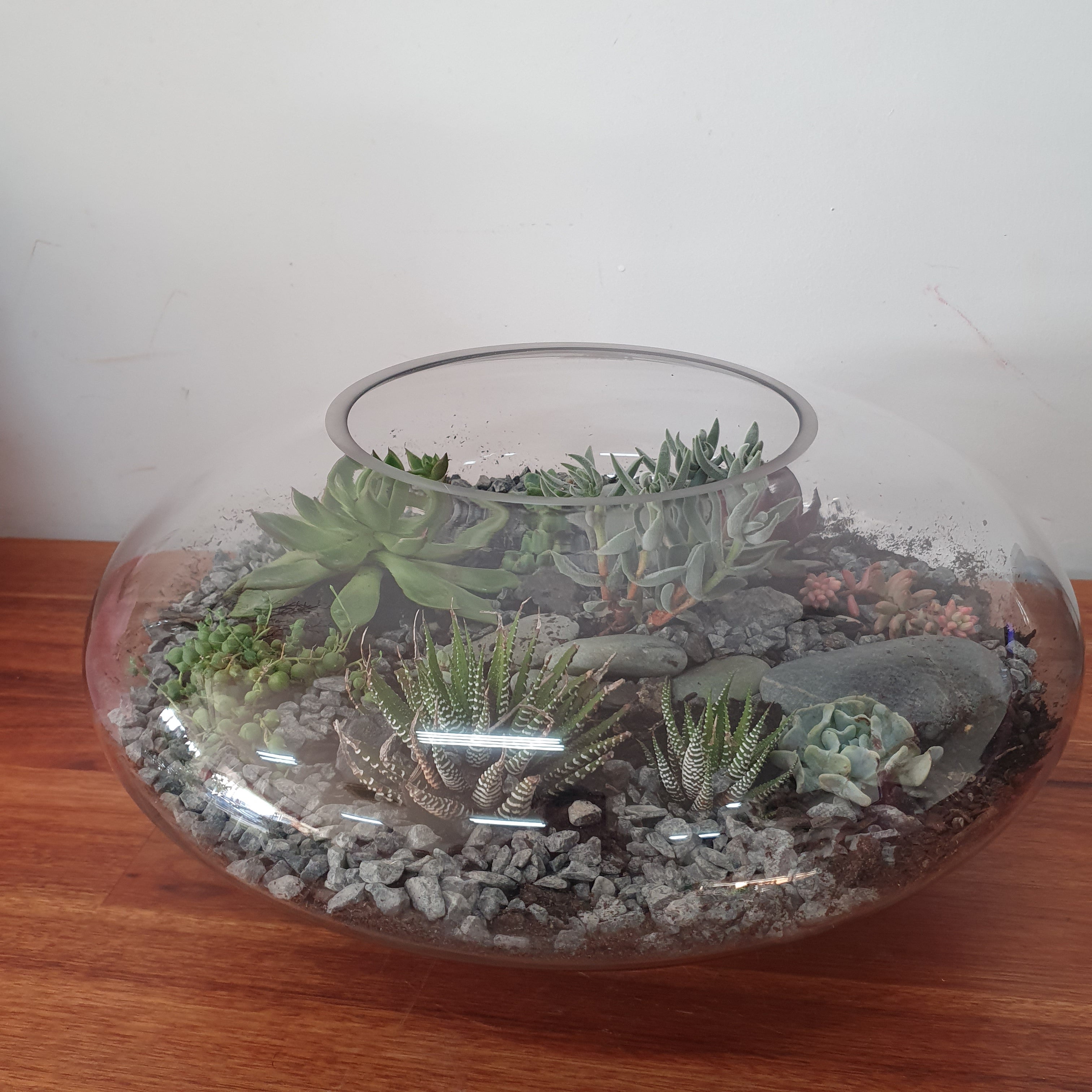 Squat Fishbowl Terrarium