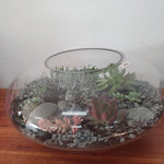 Squat Fishbowl Terrarium