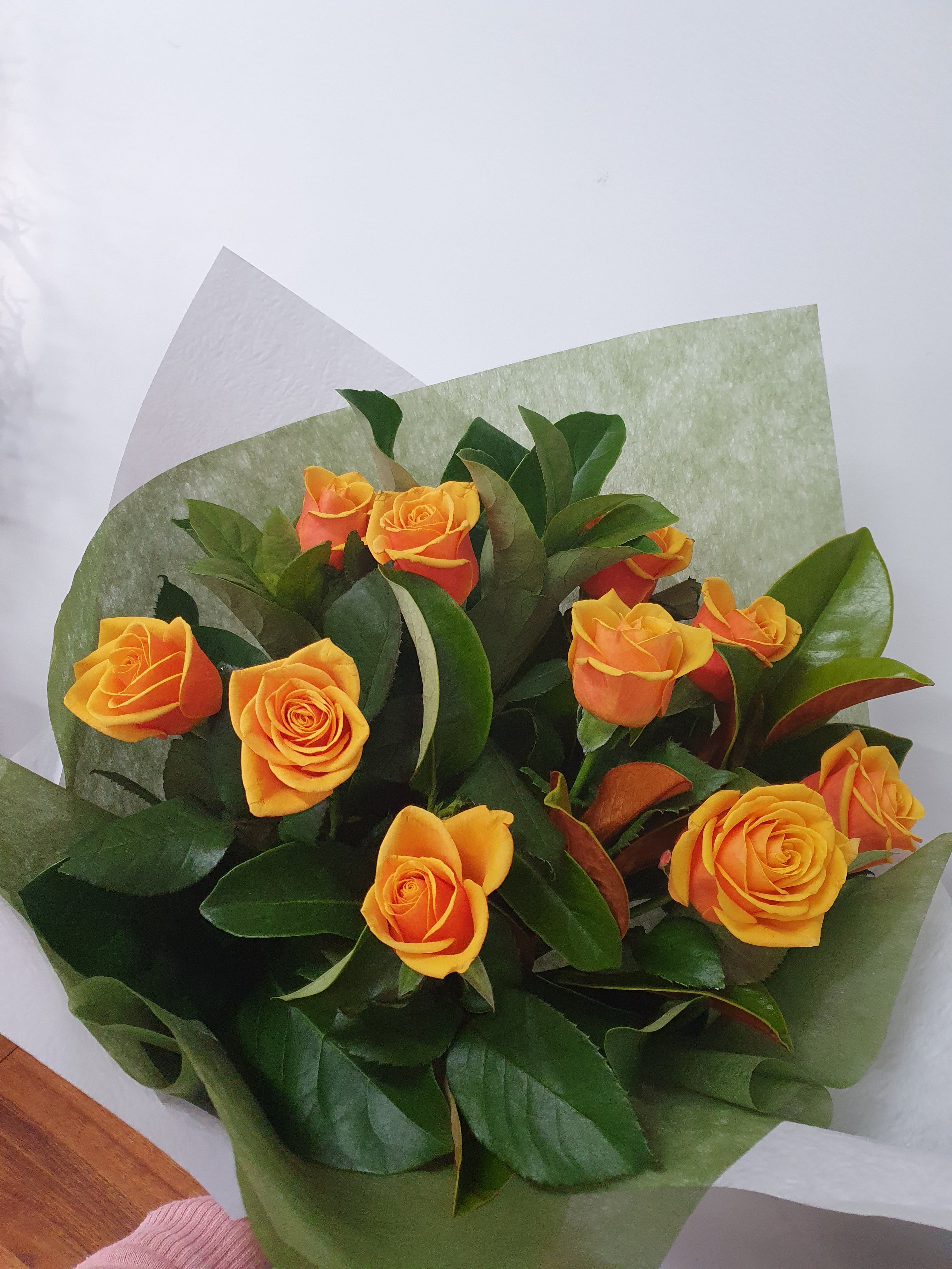Valentine's Day Coloured Roses