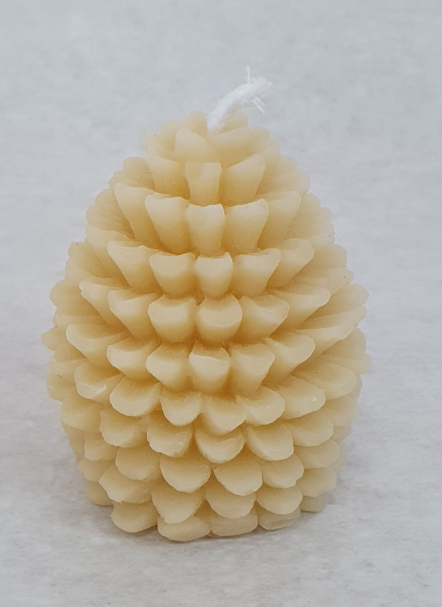 Pinecone Candle