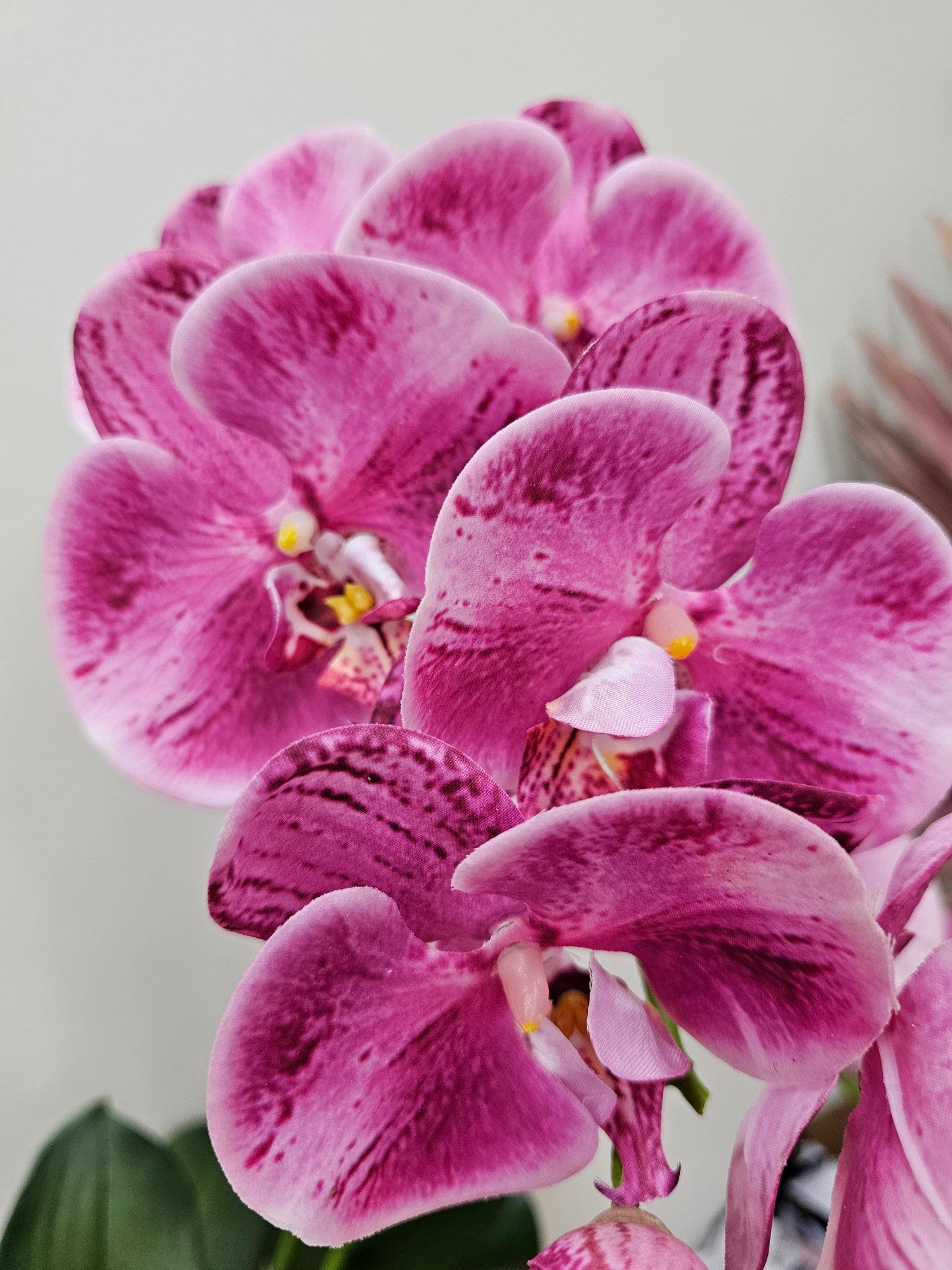 Artificial Phalaenopsis Orchid