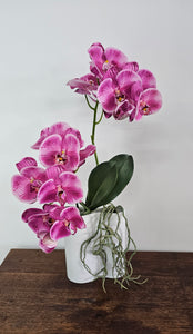 Artificial Phalaenopsis Orchid