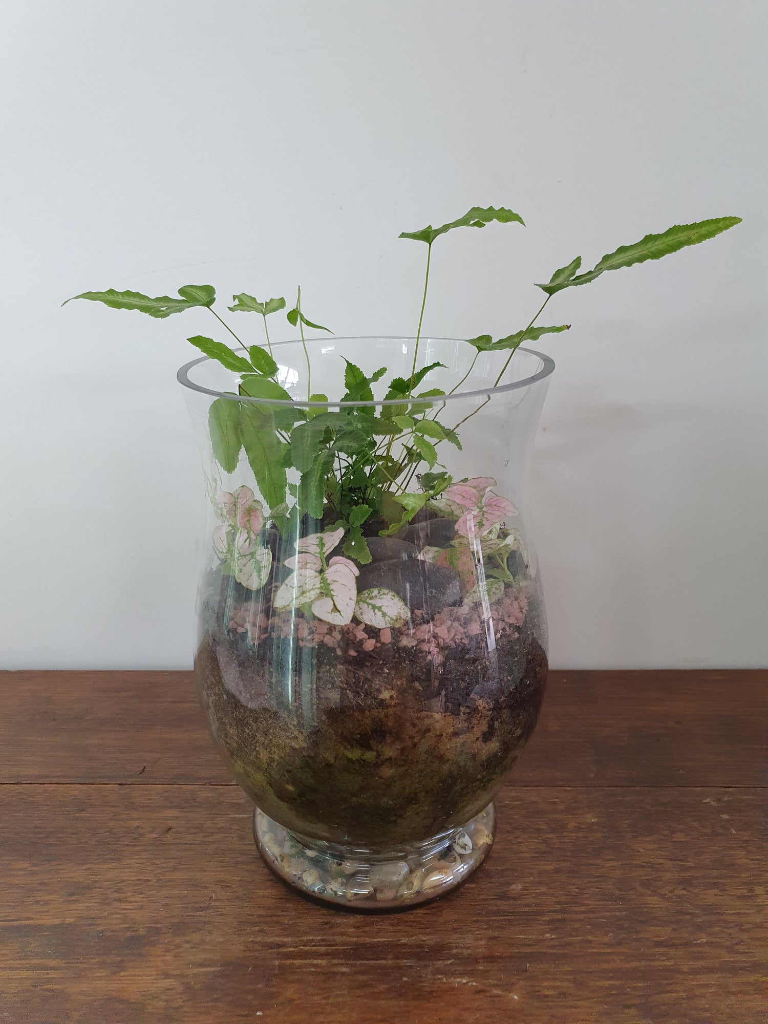 Terrariums