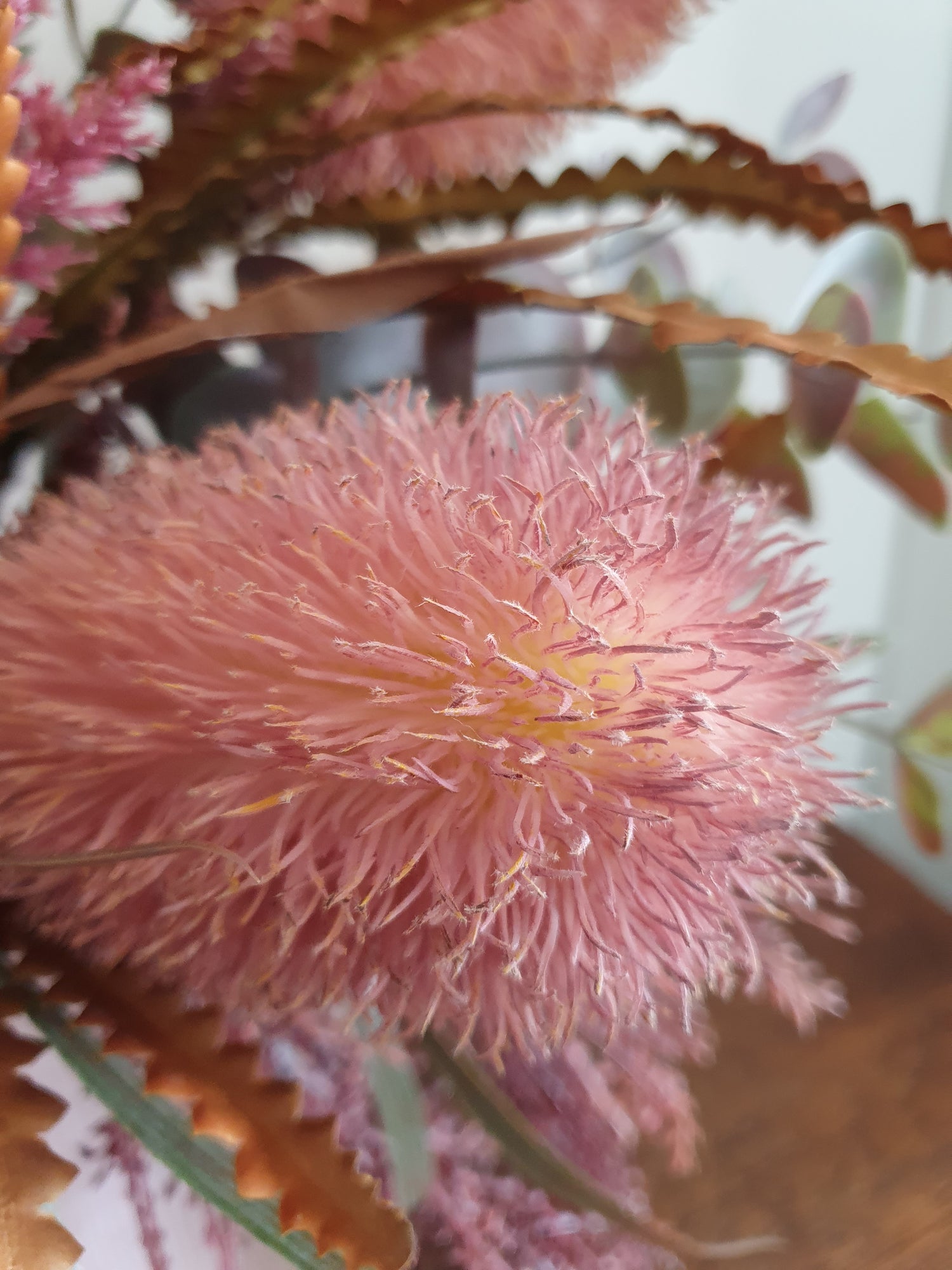 Pink Banksia