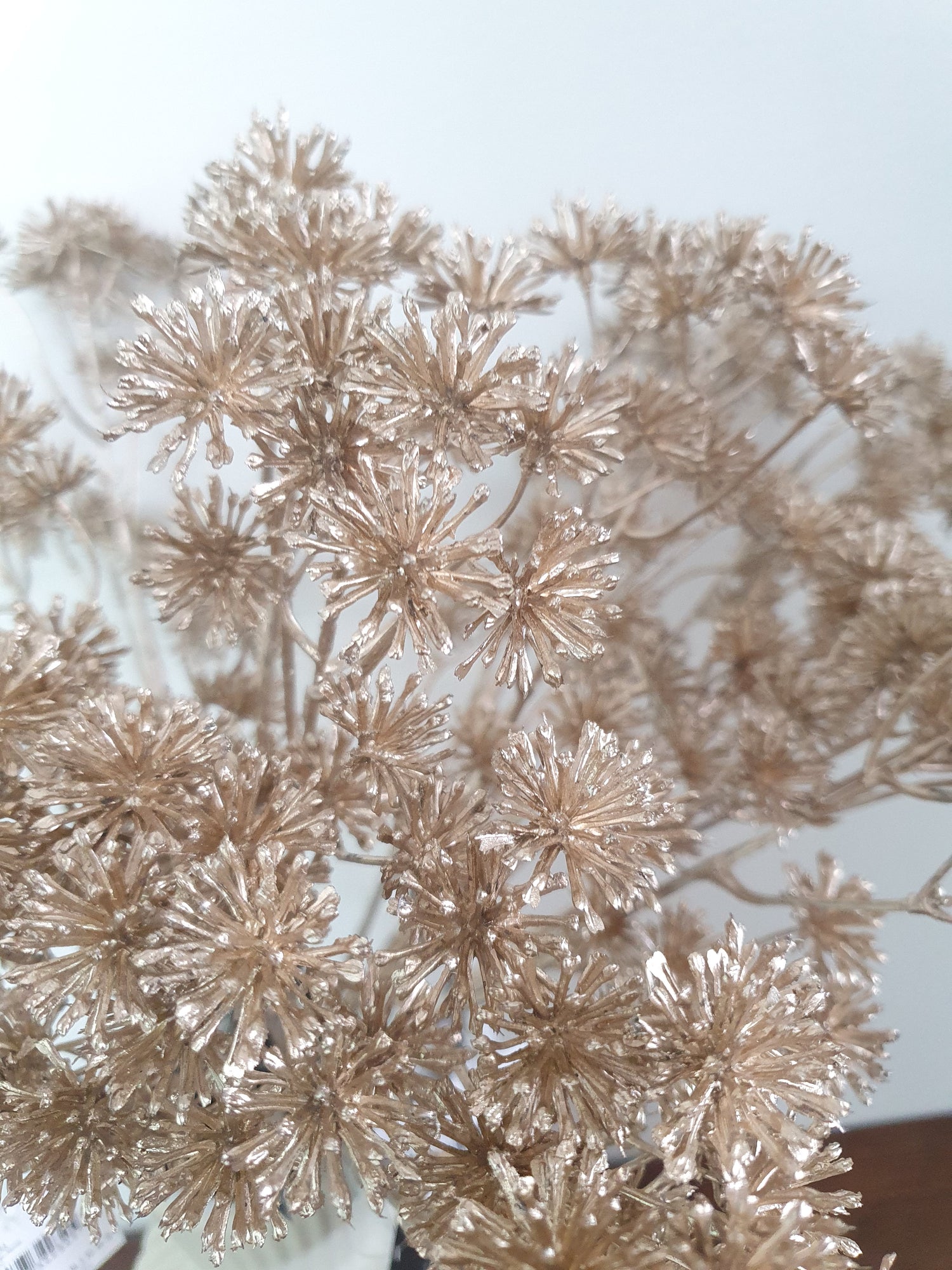 Aralia Metallic Spray