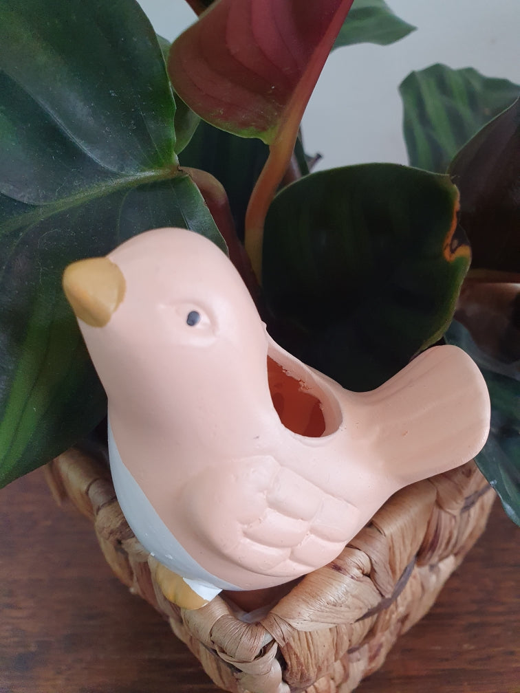 Bird Water Seeper