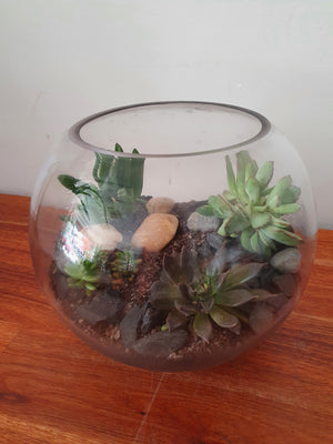 Fishbowl Terrariums