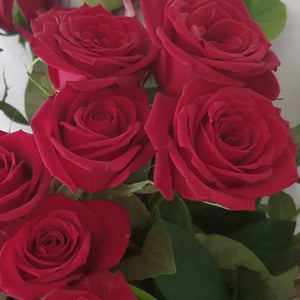 Valentine's Day...Red Roses