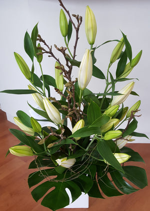 TRANQUILITY- arrangement of white oriental lillies