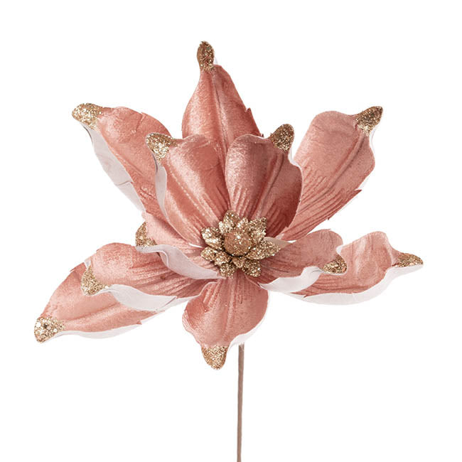 magnolia flower dusty pink